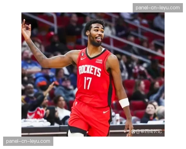 火箭击败开拓者锁定西部第十,获得附加赛最后一个席位 火箭击败开拓者锁定西部第十,获得附加赛最后一个席位